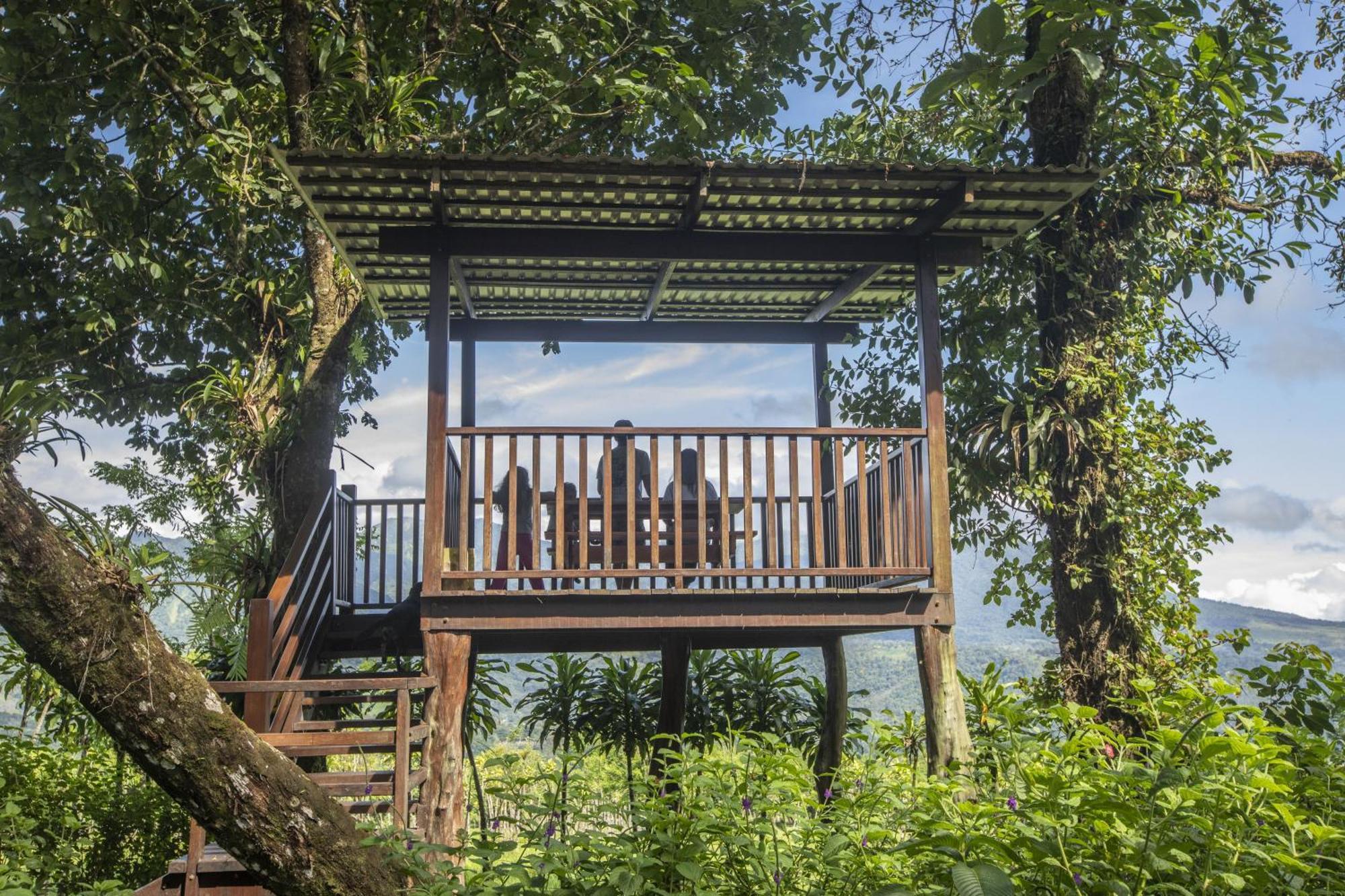 "Hana'S Celeste Retreat" Large Modern Villa Sleeps 6 On 20 Acres Of Nature! Bijagua Eksteriør billede