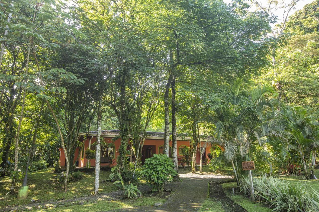 "Hana'S Celeste Retreat" Large Modern Villa Sleeps 6 On 20 Acres Of Nature! Bijagua Eksteriør billede